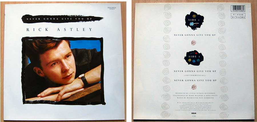 Rick Astley, Rock und Popgeschichten auf Vinyl